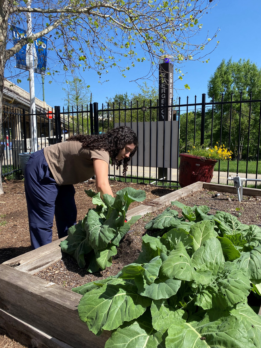 student working on the garden