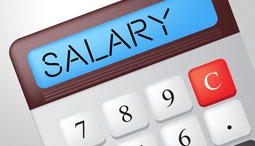 salary calculator graphic